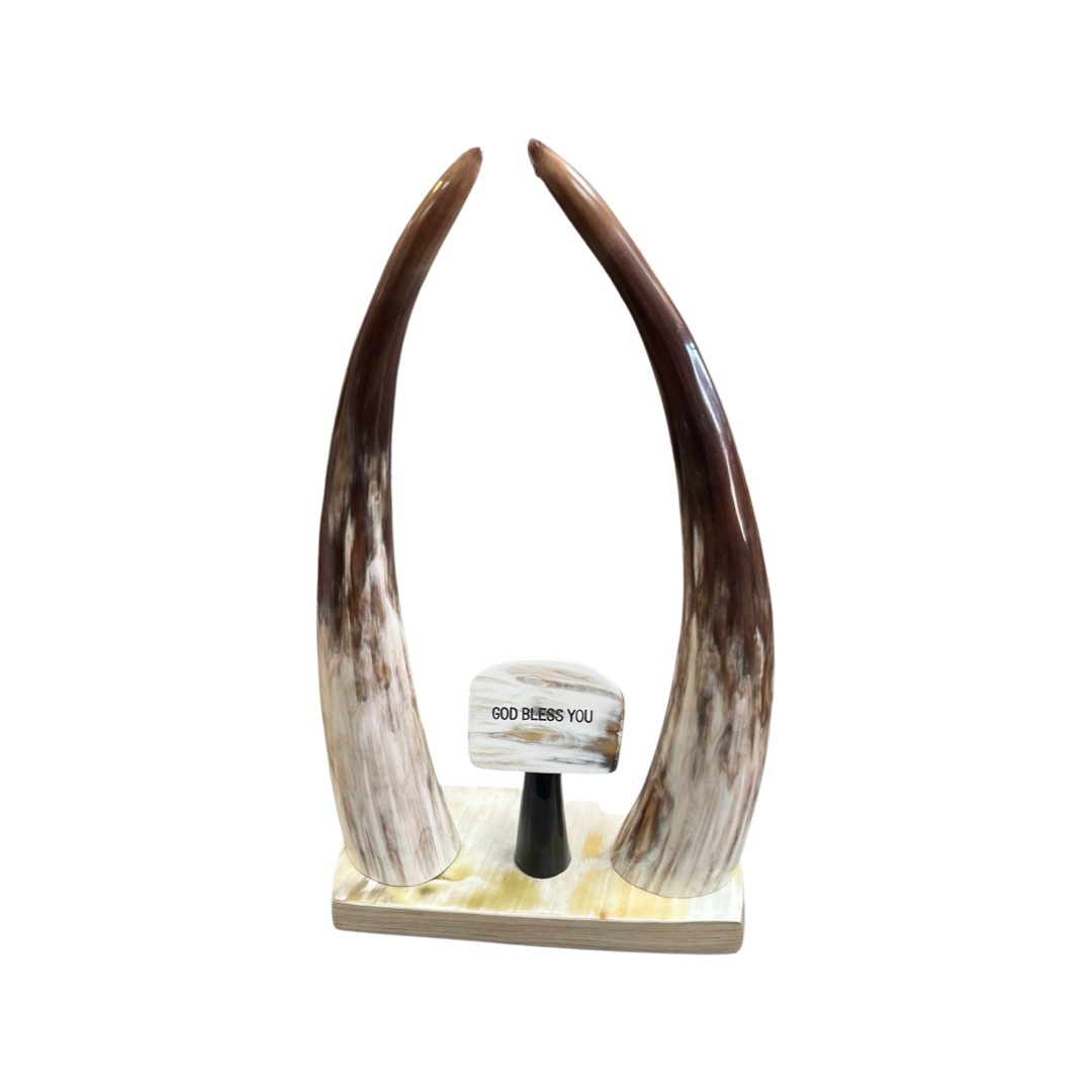 Horn Art