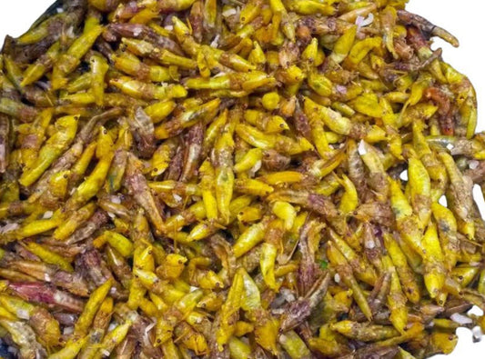 Grasshoppers-Nsenene