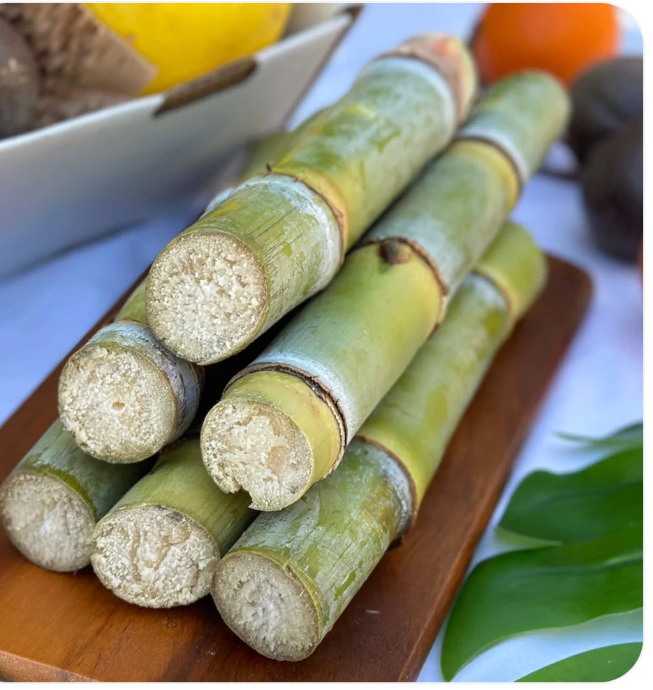 Sugarcane